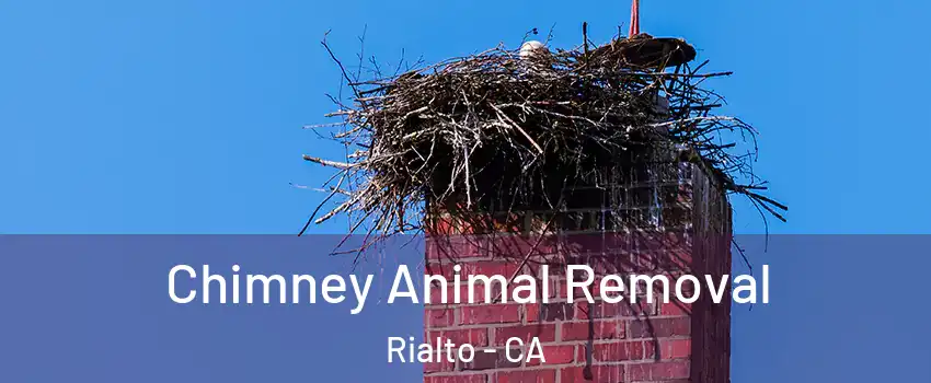Chimney Animal Removal Rialto - CA