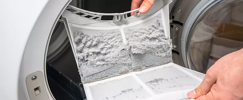 Best Dryer Lint Removal Company in Rialto, California