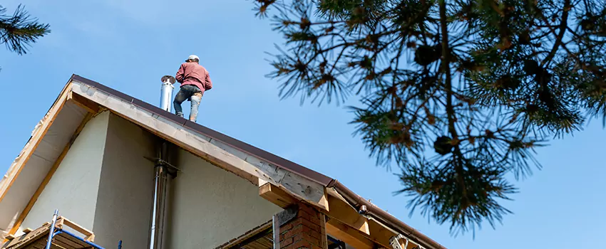 Birds Removal Contractors from Chimney in Rialto, CA
